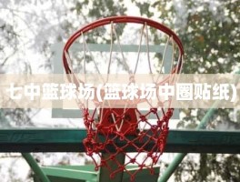 七中篮球场(篮球场中圈贴纸)