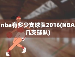 nba有多少支球队2016(NBA几支球队)