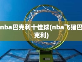 nba巴克利十佳球(nba飞猪巴克利)