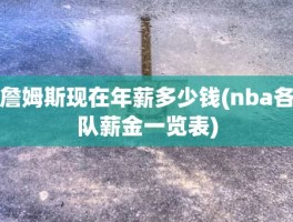 詹姆斯现在年薪多少钱(nba各队薪金一览表)