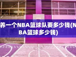 养一个NBA篮球队要多少钱(NBA篮球多少钱)