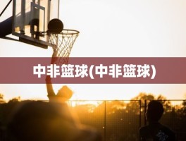 中非篮球(中非篮球)