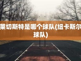 莱切斯特是哪个球队(纽卡斯尔球队)