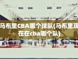 马布里CBA哪个球队(马布里现在在cba哪个队)