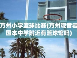 万州小学篮球比赛(万州观音岩国本中学附近有篮球馆吗)