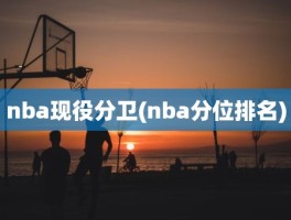 nba现役分卫(nba分位排名)