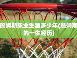 詹姆斯职业生涯多少年(詹姆斯的一生经历)