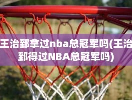 王治郅拿过nba总冠军吗(王治郅得过NBA总冠军吗)