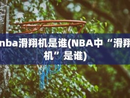 nba滑翔机是谁(NBA中“滑翔机”是谁)