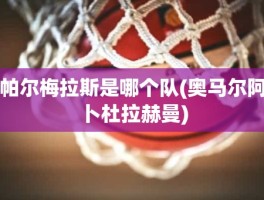 帕尔梅拉斯是哪个队(奥马尔阿卜杜拉赫曼)