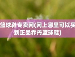 篮球鞋专卖网(网上哪里可以买到正品乔丹篮球鞋)