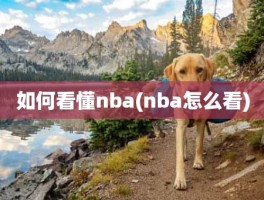 如何看懂nba(nba怎么看)