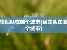 快船队在哪个城市(猛龙队在哪个城市)