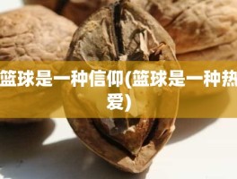 篮球是一种信仰(篮球是一种热爱)