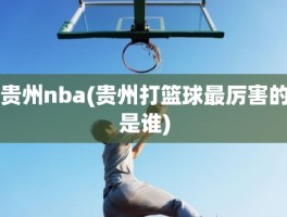 贵州nba(贵州打篮球最厉害的是谁)