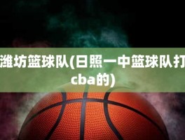 潍坊篮球队(日照一中篮球队打cba的)