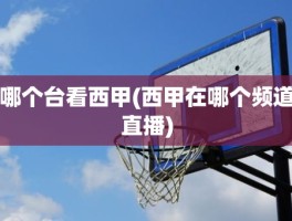 哪个台看西甲(西甲在哪个频道直播)