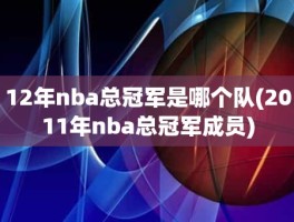 12年nba总冠军是哪个队(2011年nba总冠军成员)