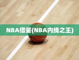 NBA借鉴(NBA内线之王)