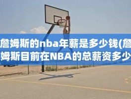 詹姆斯的nba年薪是多少钱(詹姆斯目前在NBA的总薪资多少)