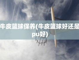 牛皮篮球保养(牛皮篮球好还是pu好)