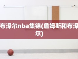 布泽尔nba集锦(詹姆斯和布泽尔)