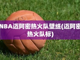 NBA迈阿密热火队壁纸(迈阿密热火队标)