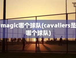 magic哪个球队(cavaliers是哪个球队)