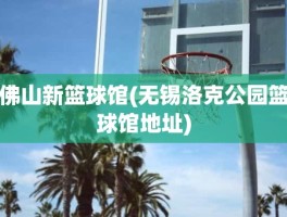 佛山新篮球馆(无锡洛克公园篮球馆地址)