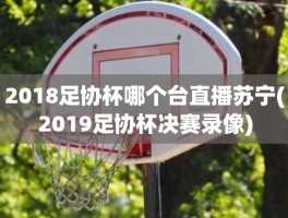 2018足协杯哪个台直播苏宁(2019足协杯决赛录像)