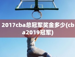 2017cba总冠军奖金多少(cba2019冠军)