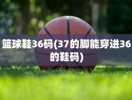 篮球鞋36码(37的脚能穿进36的鞋码)