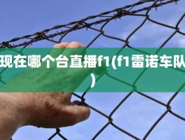 现在哪个台直播f1(f1雷诺车队)