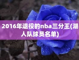 2016年退役的nba三分王(湖人队球员名单)