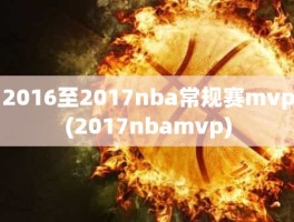 2016至2017nba常规赛mvp(2017nbamvp)