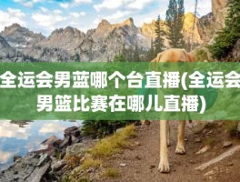 全运会男蓝哪个台直播(全运会男篮比赛在哪儿直播)