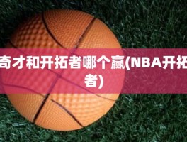 奇才和开拓者哪个赢(NBA开拓者)