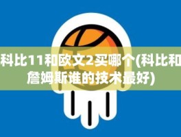 科比11和欧文2买哪个(科比和詹姆斯谁的技术最好)