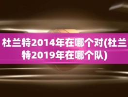 杜兰特2014年在哪个对(杜兰特2019年在哪个队)