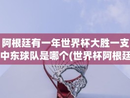 阿根廷有一年世界杯大胜一支中东球队是哪个(世界杯阿根廷队)