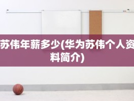 苏伟年薪多少(华为苏伟个人资料简介)