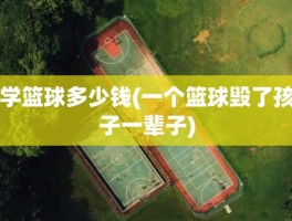学篮球多少钱(一个篮球毁了孩子一辈子)