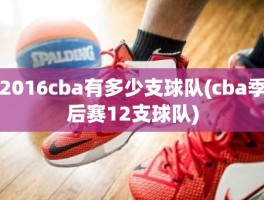 2016cba有多少支球队(cba季后赛12支球队)