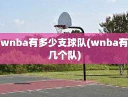 wnba有多少支球队(wnba有几个队)