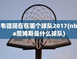 韦德现在在哪个球队2017(nba詹姆斯是什么球队)