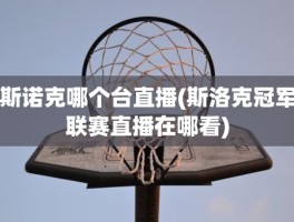 斯诺克哪个台直播(斯洛克冠军联赛直播在哪看)