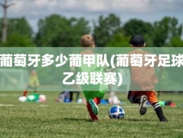 葡萄牙多少葡甲队(葡萄牙足球乙级联赛)