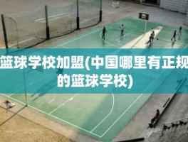 篮球学校加盟(中国哪里有正规的篮球学校)