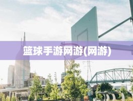 篮球手游网游(网游)