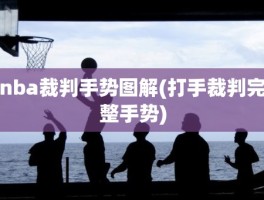 nba裁判手势图解(打手裁判完整手势)